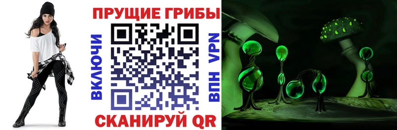 Галлюциногенные грибы мухоморы  Тогучин 